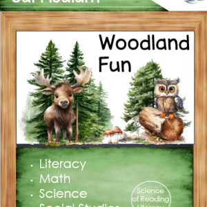 Kindergarten Full Curriculum _ Science of Reading