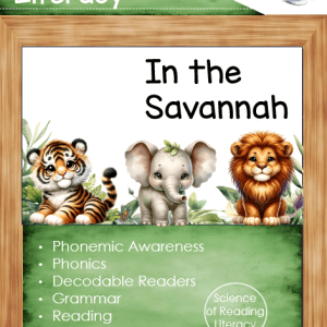 Kindergarten - Literacy Only