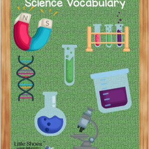 Kindergarten Science Vocabulary